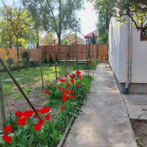 Ujszeged Apartman Exterior photo